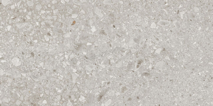  Ragno Realstone_Ceppo Beige 60x120 cm Vloertegel / Wandtegel Mat Vlak Naturale RCWU | 335778