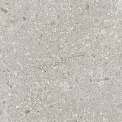  Ragno Realstone_Ceppo Beige 120x120 cm Vloertegel / Wandtegel Mat Vlak Naturale RCWK | 335976