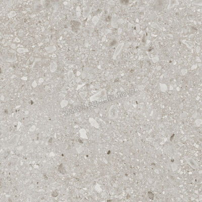 Ragno Realstone_Ceppo Beige 120x120 cm Vloertegel / Wandtegel Mat Vlak Naturale RCWK | 335982