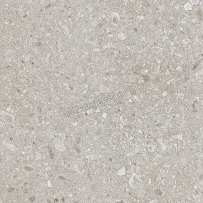  Ragno Realstone_Ceppo Beige 120x120 cm Vloertegel / Wandtegel Mat Vlak Naturale RCWK | 335985