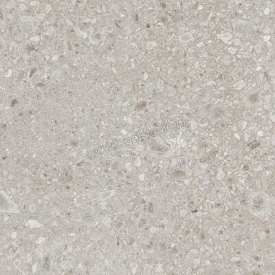  Ragno Realstone_Ceppo Beige 120x120 cm Vloertegel / Wandtegel Mat Vlak Naturale RCWK | 335988