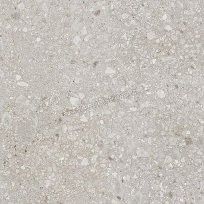  Ragno Realstone_Ceppo Beige 120x120 cm Vloertegel / Wandtegel Mat Vlak Naturale RCWK | 335991