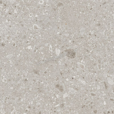  Ragno Realstone_Ceppo Beige 120x120 cm Vloertegel / Wandtegel Mat Vlak Naturale RCWK | 335997