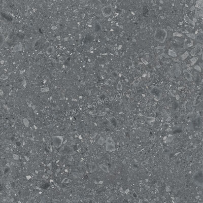  Ragno Realstone_Ceppo Antracite 120x120 cm Vloertegel / Wandtegel Mat Vlak Naturale RCWJ | 336000