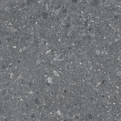  Ragno Realstone_Ceppo Antracite 120x120 cm Vloertegel / Wandtegel Mat Vlak Naturale RCWJ | 336006