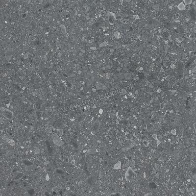  Ragno Realstone_Ceppo Antracite 120x120 cm Vloertegel / Wandtegel Mat Vlak Naturale RCWJ | 336009