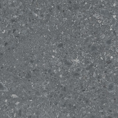  Ragno Realstone_Ceppo Antracite 120x120 cm Vloertegel / Wandtegel Mat Vlak Naturale RCWJ | 336012