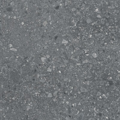  Ragno Realstone_Ceppo Antracite 120x120 cm Vloertegel / Wandtegel Mat Vlak Naturale RCWJ | 336015