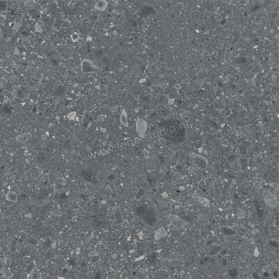  Ragno Realstone_Ceppo Antracite 120x120 cm Vloertegel / Wandtegel Mat Vlak Naturale RCWJ | 336021