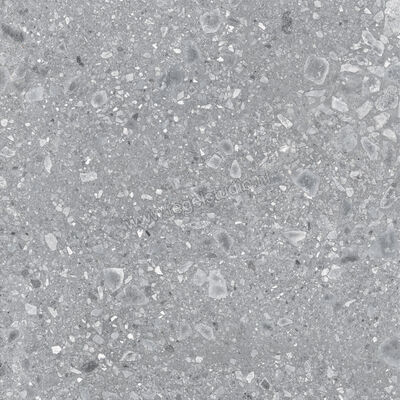  Ragno Realstone_Ceppo Grigio 120x120 cm Vloertegel / Wandtegel Mat Vlak Naturale RCWH | 336024