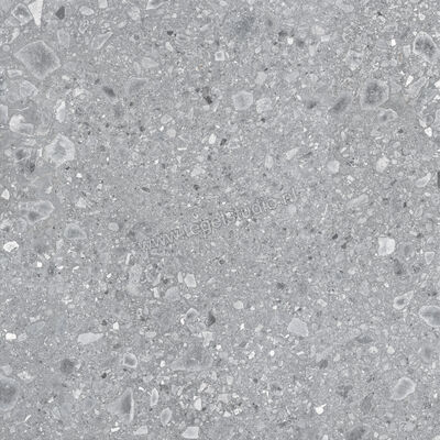 Ragno Realstone_Ceppo Grigio 120x120 cm Vloertegel / Wandtegel Mat Vlak Naturale RCWH | 336027