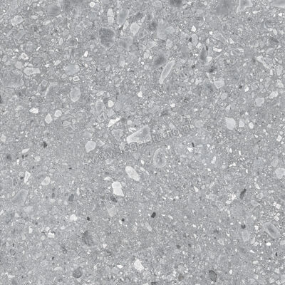  Ragno Realstone_Ceppo Grigio 120x120 cm Vloertegel / Wandtegel Mat Vlak Naturale RCWH | 336030