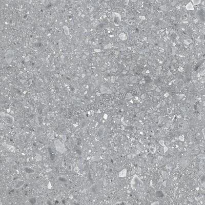  Ragno Realstone_Ceppo Grigio 120x120 cm Vloertegel / Wandtegel Mat Vlak Naturale RCWH | 336033