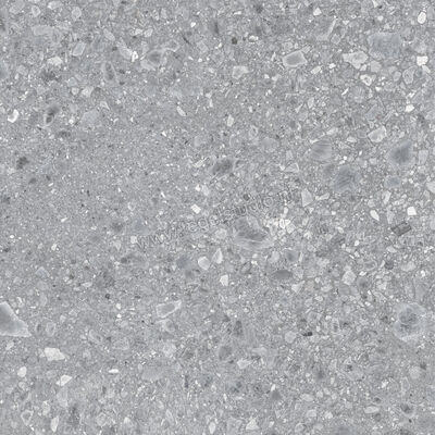  Ragno Realstone_Ceppo Grigio 120x120 cm Vloertegel / Wandtegel Mat Vlak Naturale RCWH | 336036