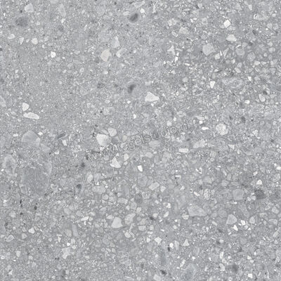  Ragno Realstone_Ceppo Grigio 120x120 cm Vloertegel / Wandtegel Mat Vlak Naturale RCWH | 336039