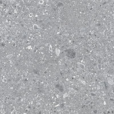  Ragno Realstone_Ceppo Grigio 120x120 cm Vloertegel / Wandtegel Mat Vlak Naturale RCWH | 336045