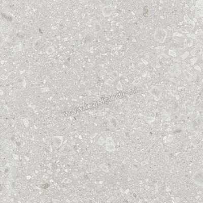  Ragno Realstone_Ceppo Bianco 120x120 cm Vloertegel / Wandtegel Mat Vlak Naturale RCWG | 336048