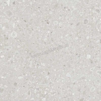  Ragno Realstone_Ceppo Bianco 120x120 cm Vloertegel / Wandtegel Mat Vlak Naturale RCWG | 336051