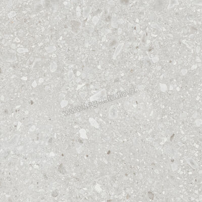  Ragno Realstone_Ceppo Bianco 120x120 cm Vloertegel / Wandtegel Mat Vlak Naturale RCWG | 336054