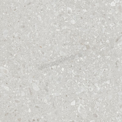  Ragno Realstone_Ceppo Bianco 120x120 cm Vloertegel / Wandtegel Mat Vlak Naturale RCWG | 336057