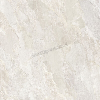  NovaBell Deepstone Hyper Platinum 60x60 cm Vloertegel / Wandtegel Mat Gestructureerd Naturale DPSH80RT | 336315