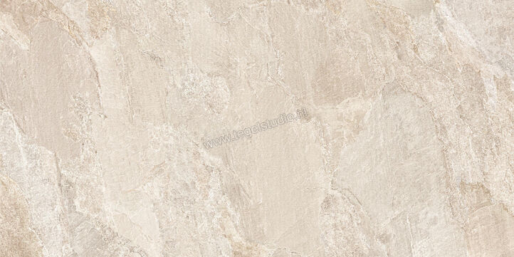  NovaBell Deepstone Hyper Shell 60x120 cm Vloertegel / Wandtegel Mat Gestructureerd Naturale DPSH42RT | 336348