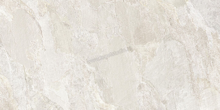  Novabell Deepstone Hyper Platinum 60x120 cm Vloertegel / Wandtegel Mat Gestructureerd Naturale DPSH82RT | 336360