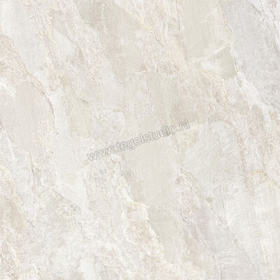  Novabell Deepstone Hyper Platinum 120x120 cm Vloertegel / Wandtegel Mat Gestructureerd Naturale DPSH188R | 336435