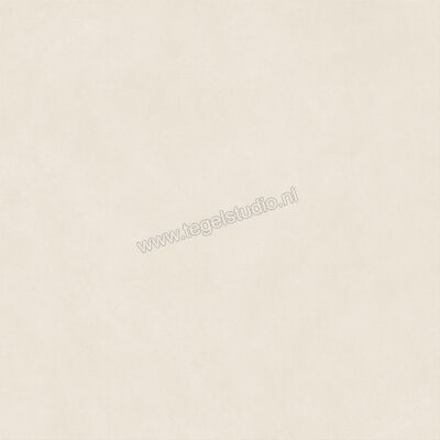  Atlas Concorde Boost Natural Pro Salt 120x120 cm Vloertegel / Wandtegel Mat Vlak Naturale AQ8K | 336888