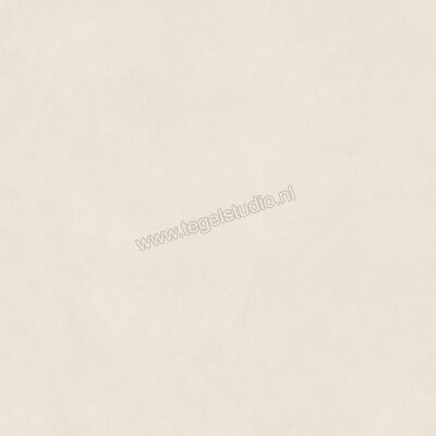  Atlas Concorde Boost Natural Pro Salt 120x120 cm Vloertegel / Wandtegel Mat Vlak Naturale AQ8K | 336891