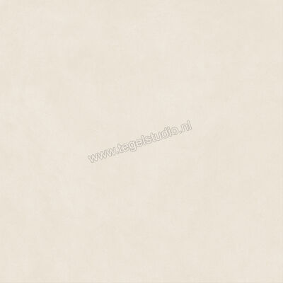  Atlas Concorde Boost Natural Pro Salt 120x120 cm Vloertegel / Wandtegel Mat Vlak Naturale AQ8K | 336894