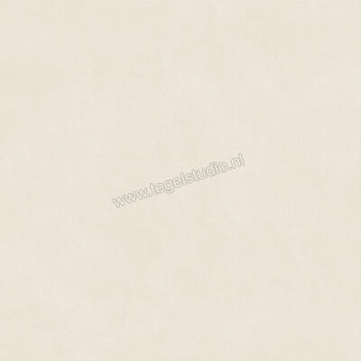  Atlas Concorde Boost Natural Pro Salt 120x120 cm Vloertegel / Wandtegel Mat Vlak Naturale AQ8K | 336909