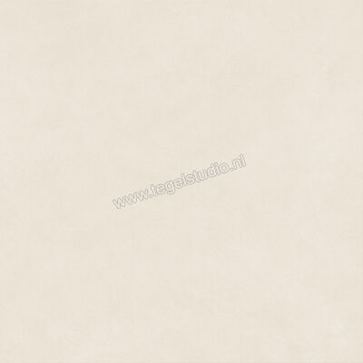  Atlas Concorde Boost Natural Pro Salt 120x120 cm Vloertegel / Wandtegel Mat Vlak Grip AQ9J | 337344