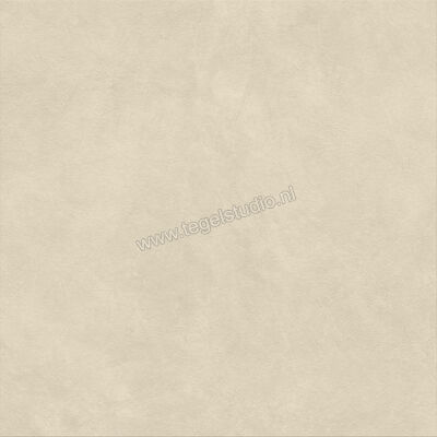  Atlas Concorde Boost Natural Pro Outdoor Oat 120x120x2 cm Terrastegel Mat Vlak Outdoor ARB2 | 337656