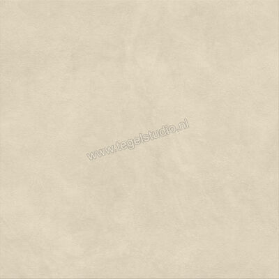  Atlas Concorde Boost Natural Pro Outdoor Oat 120x120x2 cm Terrastegel Mat Vlak Outdoor ARB2 | 337659