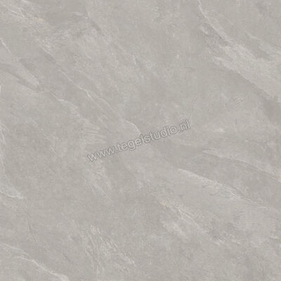  Del Conca Nesting Grey 120x120 cm Vloertegel / Wandtegel Mat Vlak Naturale GRNS05R | 337763