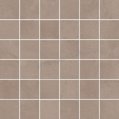  Del Conca Timeline Taupe 30x30 cm Mozaiek 5x5 Mat Vlak Naturale G3TL09MO | 338138