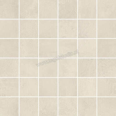  Del Conca Timeline White 30x30 cm Mozaiek 5x5 Mat Vlak Naturale G3TL10MO | 338144