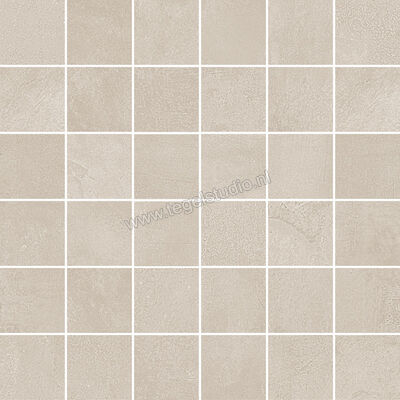  Del Conca Timeline Beige 30x30 cm Mozaiek 5x5 Mat Vlak Naturale G3TL11MO | 338150