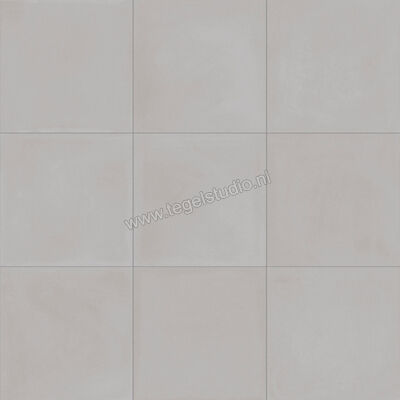  Ragno Contrasti Grigio 20x20 cm Decor Mat Vlak Naturale R7GS | 339515