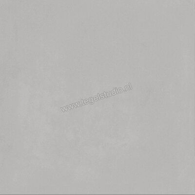  Ragno Contrasti Grigio 20x20 cm Decor Mat Vlak Naturale R7GS | 339524