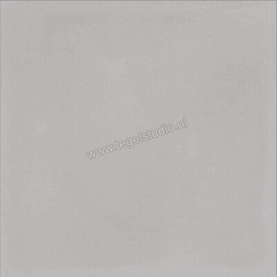  Ragno Contrasti Grigio 20x20 cm Decor Mat Vlak Naturale R7GS | 339527