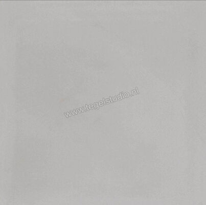  Ragno Contrasti Grigio 20x20 cm Decor Mat Vlak Naturale R7GS | 339530