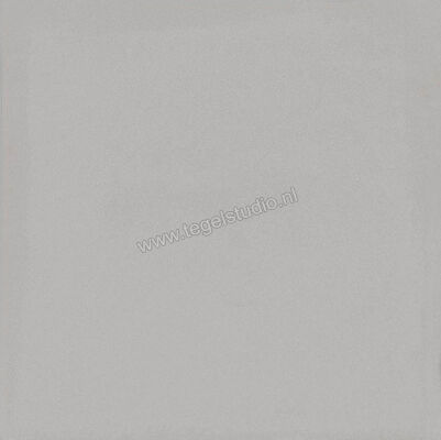  Ragno Contrasti Grigio 20x20 cm Decor Mat Vlak Naturale R7GS | 339539