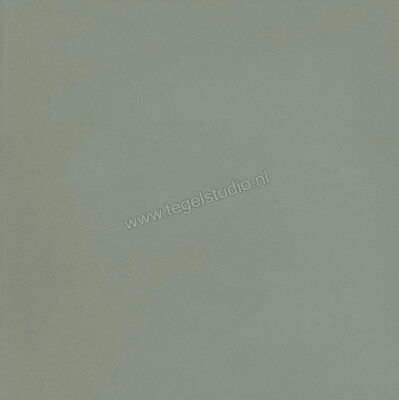  Ragno Contrasti Celadon 20x20 cm Decor Mat Vlak Naturale R7GV | 339581
