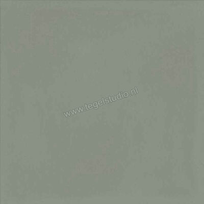  Ragno Contrasti Celadon 20x20 cm Decor Mat Vlak Naturale R7GV | 339587
