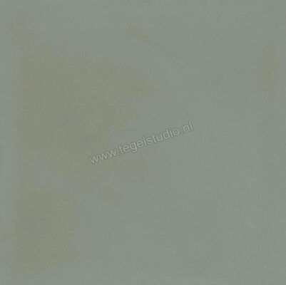  Ragno Contrasti Celadon 20x20 cm Decor Mat Vlak Naturale R7GV | 339590