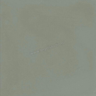  Ragno Contrasti Celadon 20x20 cm Decor Mat Vlak Naturale R7GV | 339596