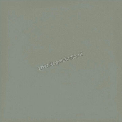  Ragno Contrasti Celadon 20x20 cm Decor Mat Vlak Naturale R7GV | 339599