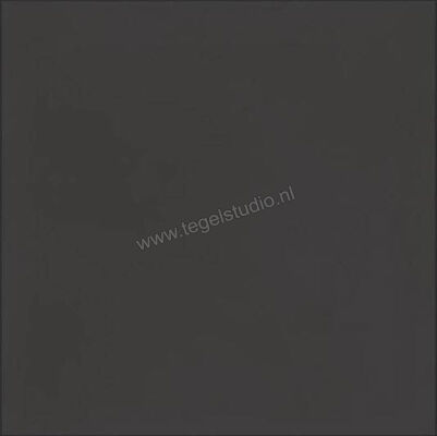  Ragno Contrasti Antracite 20x20 cm Decor Mat Vlak Naturale R7HU | 339908